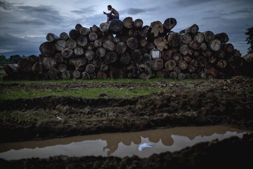Myanmar: Journalist investigating illegal logging killed - Protection