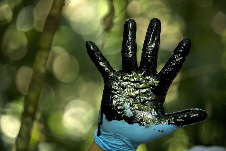 Un verde mortal: Un nuevo informe desvela la magnitud de las amenazas que reciben los defensores y defensoras ambientales
