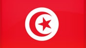 Tunisia: New constitution adopted by concensus - Civic Space