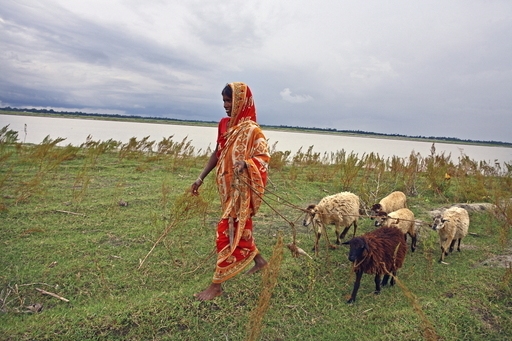 El derecho a saber: la protección del medio ambiente en Bangladesh
