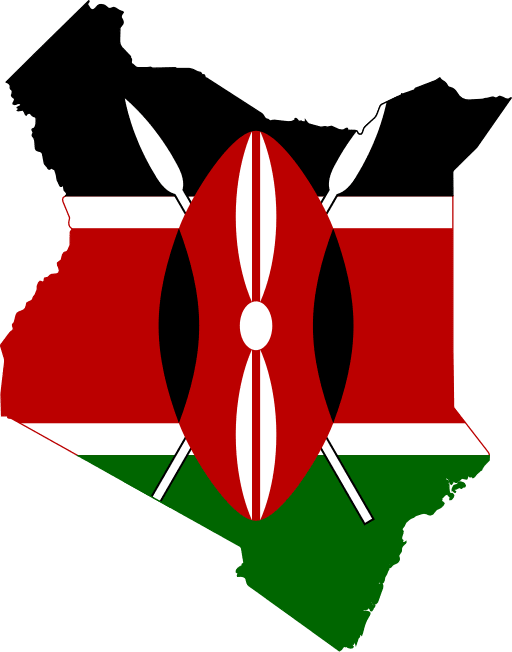 Kenya: Intellectual Property Bill must not water down freedom of expression protections - Digital