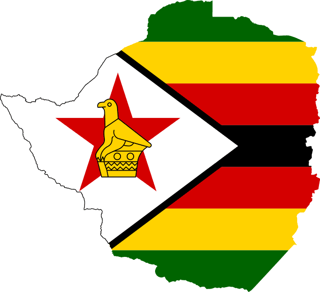 Zimbabwe: Public Health Order must not be misused to restrict freedom of expression